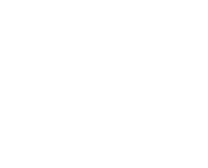 Apriori Cleaning
